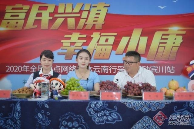 网络直播推荐宾川好物 金融加速助“宾果儿”香飘万里