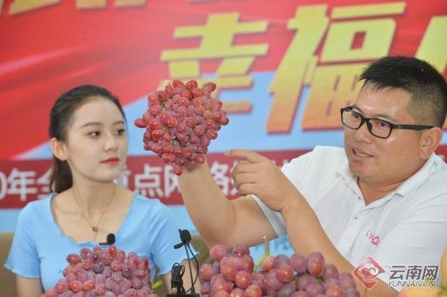 网络直播推荐宾川好物 金融加速助“宾果儿”香飘万里