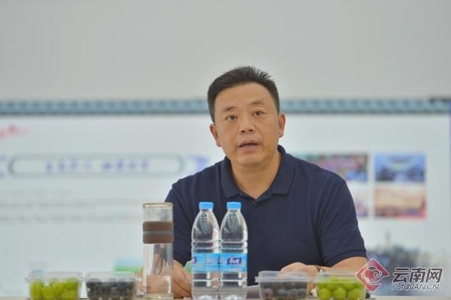 网络直播推荐宾川好物 金融加速助“宾果儿”香飘万里
