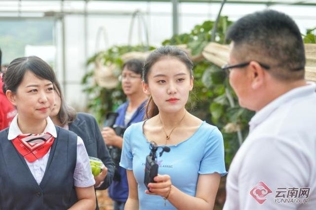 网络直播推荐宾川好物 金融加速助“宾果儿”香飘万里