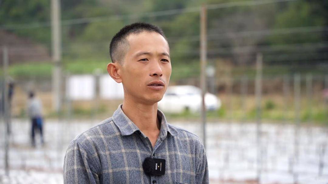 杨伟云.jpg