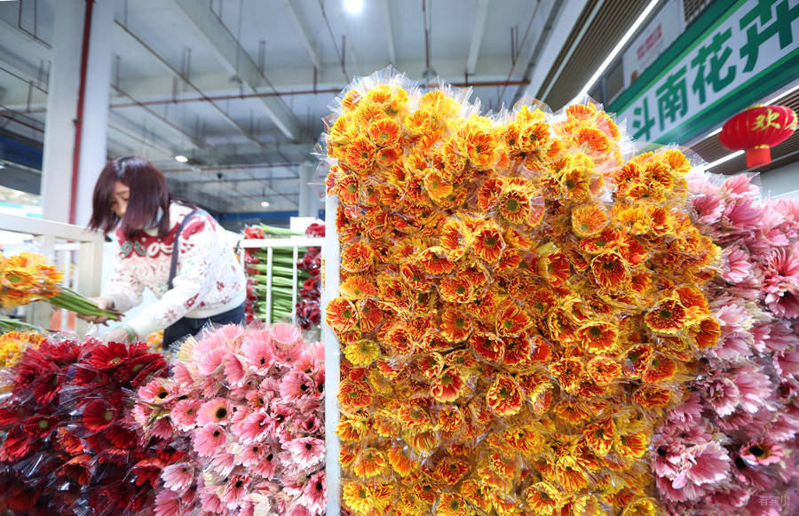 产业-云花220214A002昆明斗南花卉市场-杨峥 摄_副本.jpg