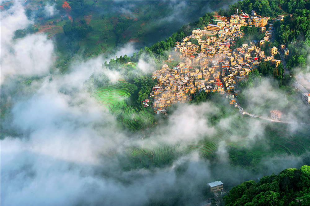 云南画报-元阳梯田 (2).jpg
