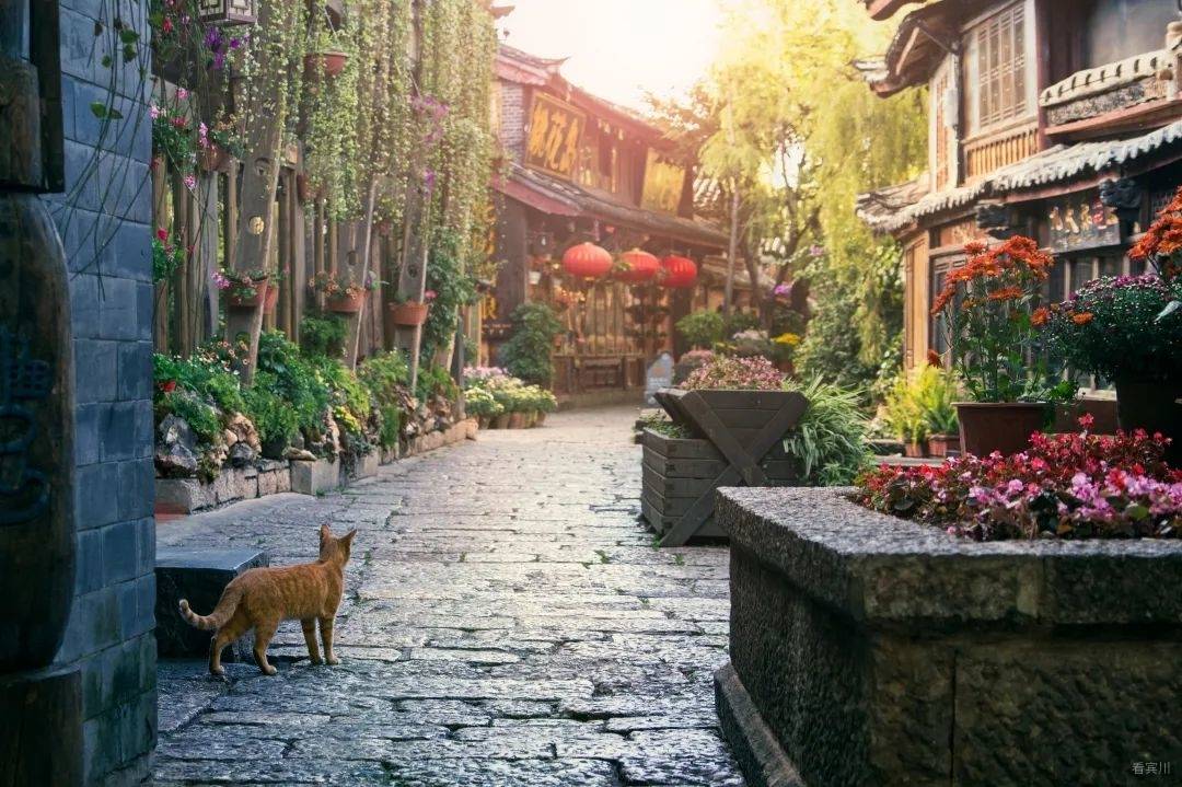 微信图片_20230310215624.jpg