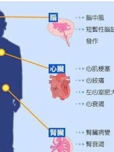 高血压的危害