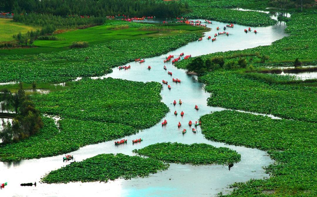 十里荷路-朱荣.JPG