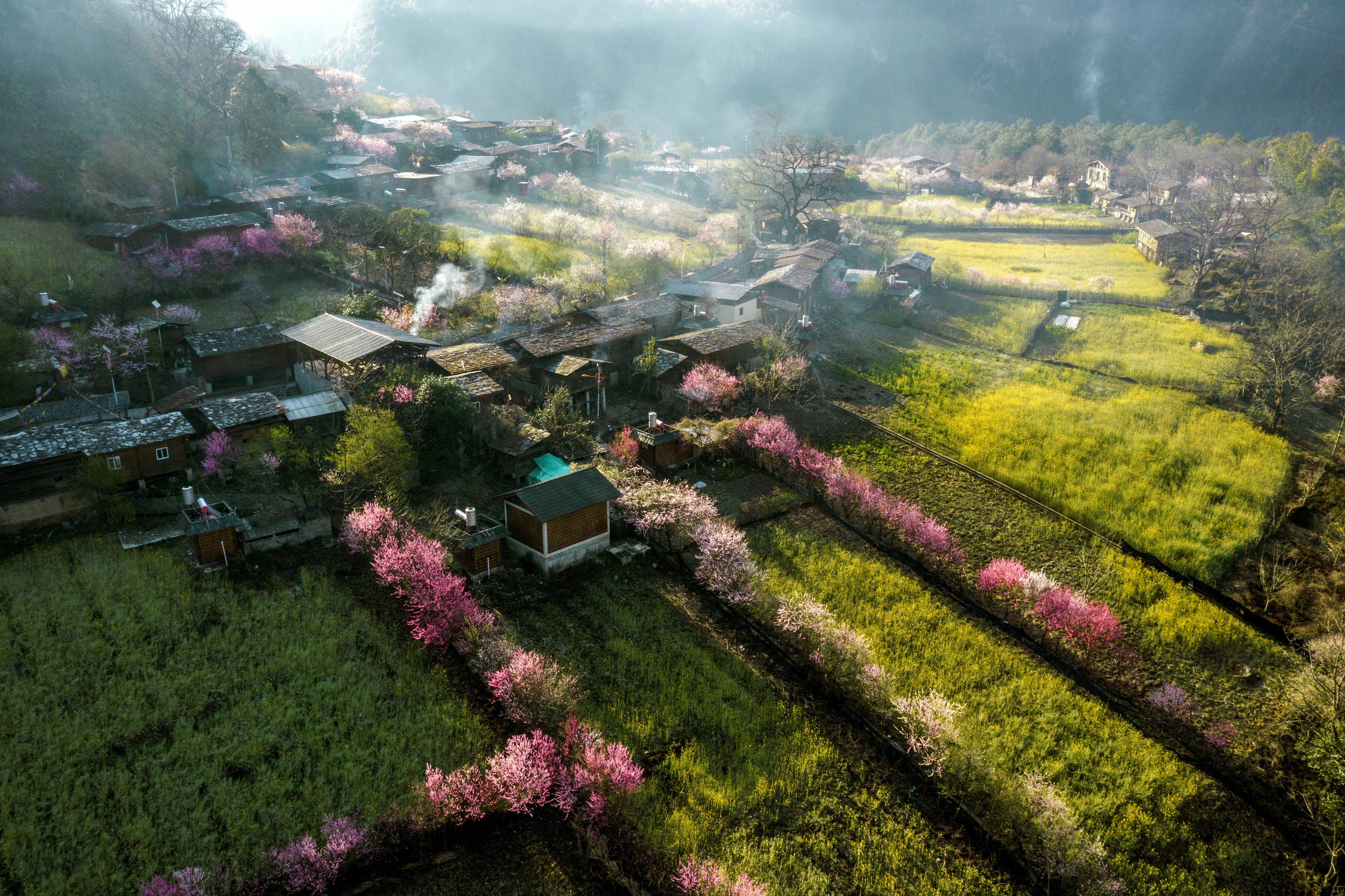 1695206845713559.jpg?x-oss-process=style/w10 《桃花岛新貌》+王松+15608863739+贡山县丙中洛镇。.jpg?x-oss-process=style/w10