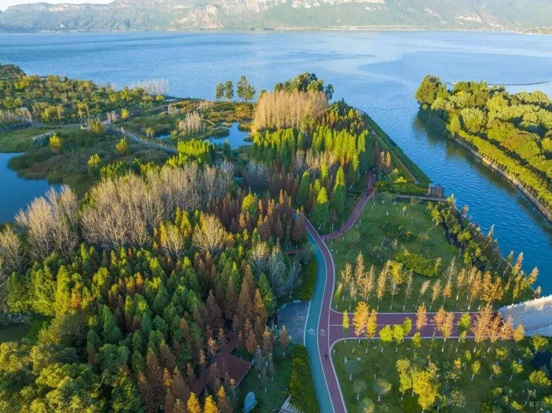 星海半岛生态湿地公园.jpg