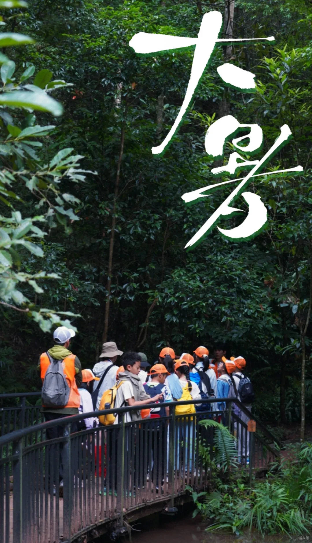 大暑节气祝福清新感全屏竖版海报AIGC.png